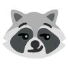raccoons emoji 😏