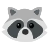 raccoons emoji 😶