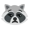 raccoons emoji 😒