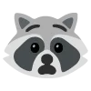raccoons emoji 😦