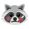 raccoons emoji 🤒
