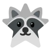 raccoons emoji ⭐️