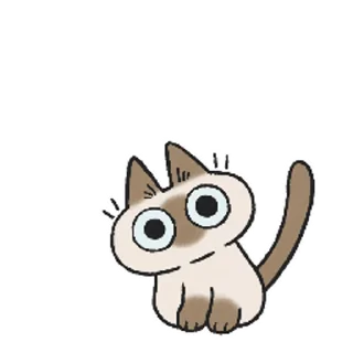 Telegram stickers Siamese Cat Live