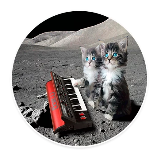 Space Cats sticker ?