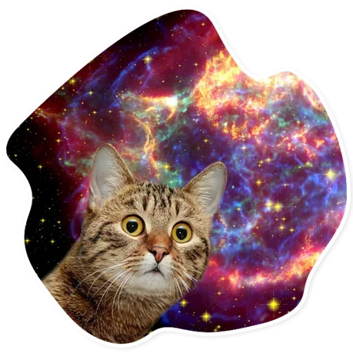Teleqram stikerləri Space Cats