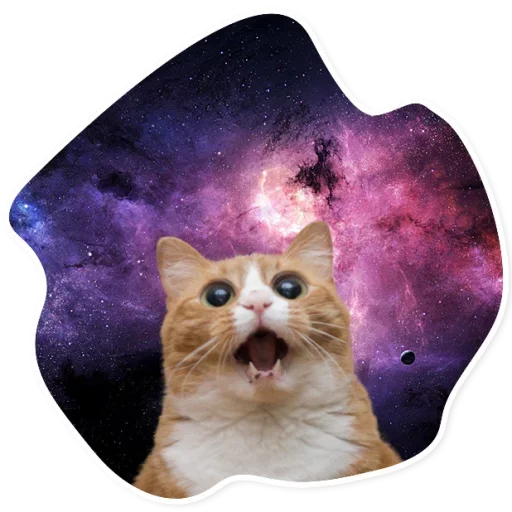 Space Cats stiker 😂