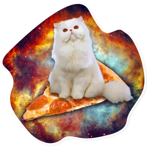Space Cats stiker 🍕