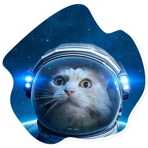 Space Cats sticker 🌎