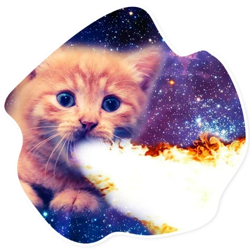 Space Cats stiker 🔥