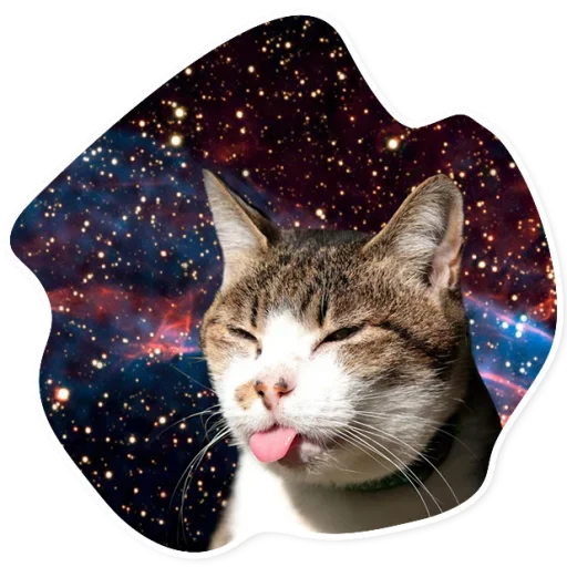 Space Cats stiker 😛