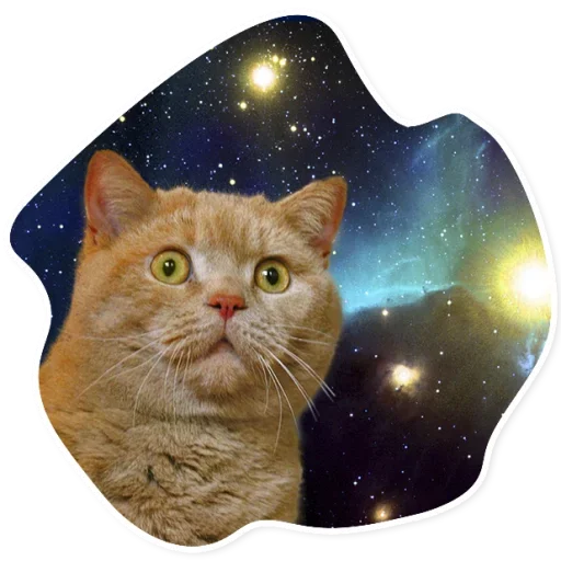 Space Cats stiker 😕