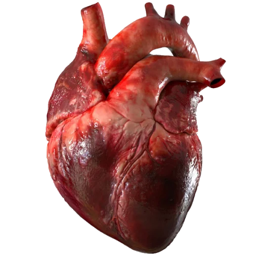 Heartz sticker ❤️