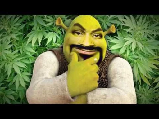 Shrek ❤ emoji 😏