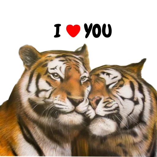 Tiger ❤ sticker ❤