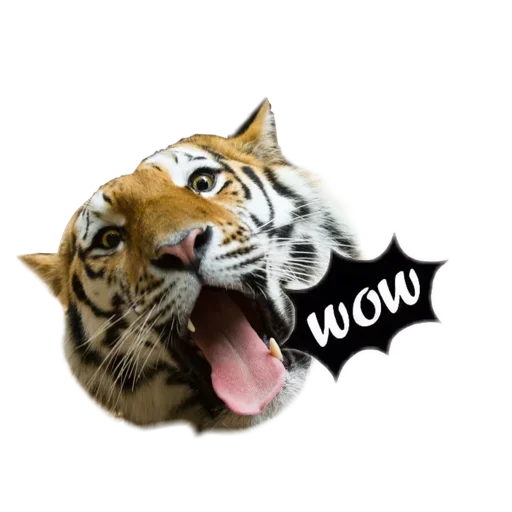 Sticker de Telegram «Tiger ❤» 😲