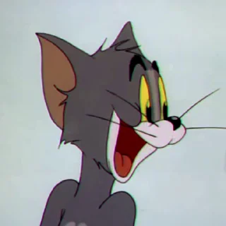 Tom & Jerry sticker 🍳