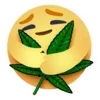 weed emoji 🌿