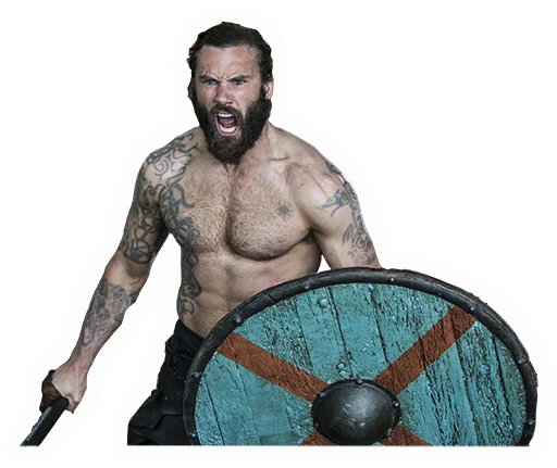 Vikings sticker 🛡