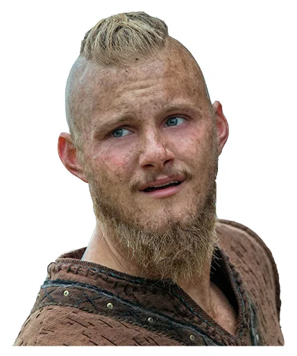 Vikings sticker 🤨