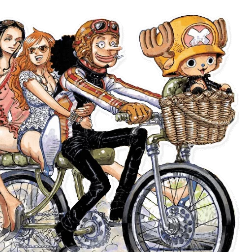 One Piece sticker 🚲
