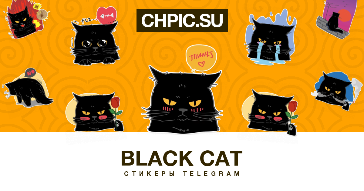 Стикеры черный кот. Черный кот стикер. Наклейки с черными котами. Black Cat Sticker Telegram. Бесплатные Стикеры с черной кошкой.