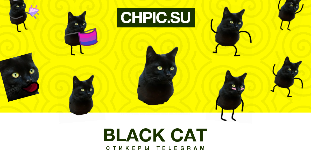 Стикеры черный кот. Стикеры с чёрным котом телеграмм. Zxc Cat Стикеры тг. Черная пятница наклейка. Черно желтые Стикеры.