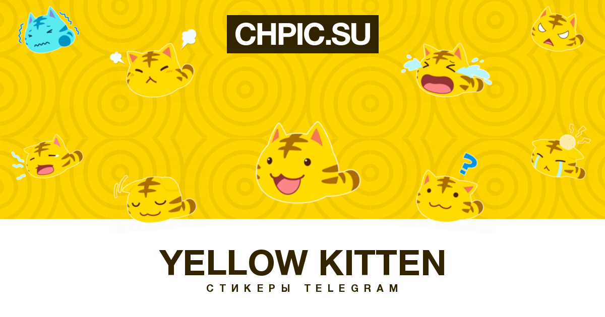 Желтый телеграм канал. Телеграмм желтый. Guaritonia why not 'Yellow Kitty'.