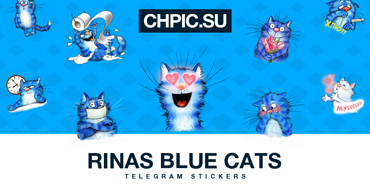 Канал телеграмм кошки. Rinas Blue Cats для WHATSAPP. Rinas Blue Cats Sticker Set..