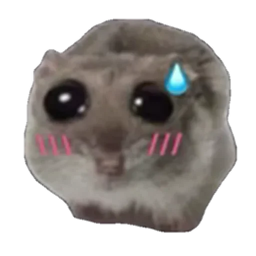 Эмодзи sad hamster 🥲